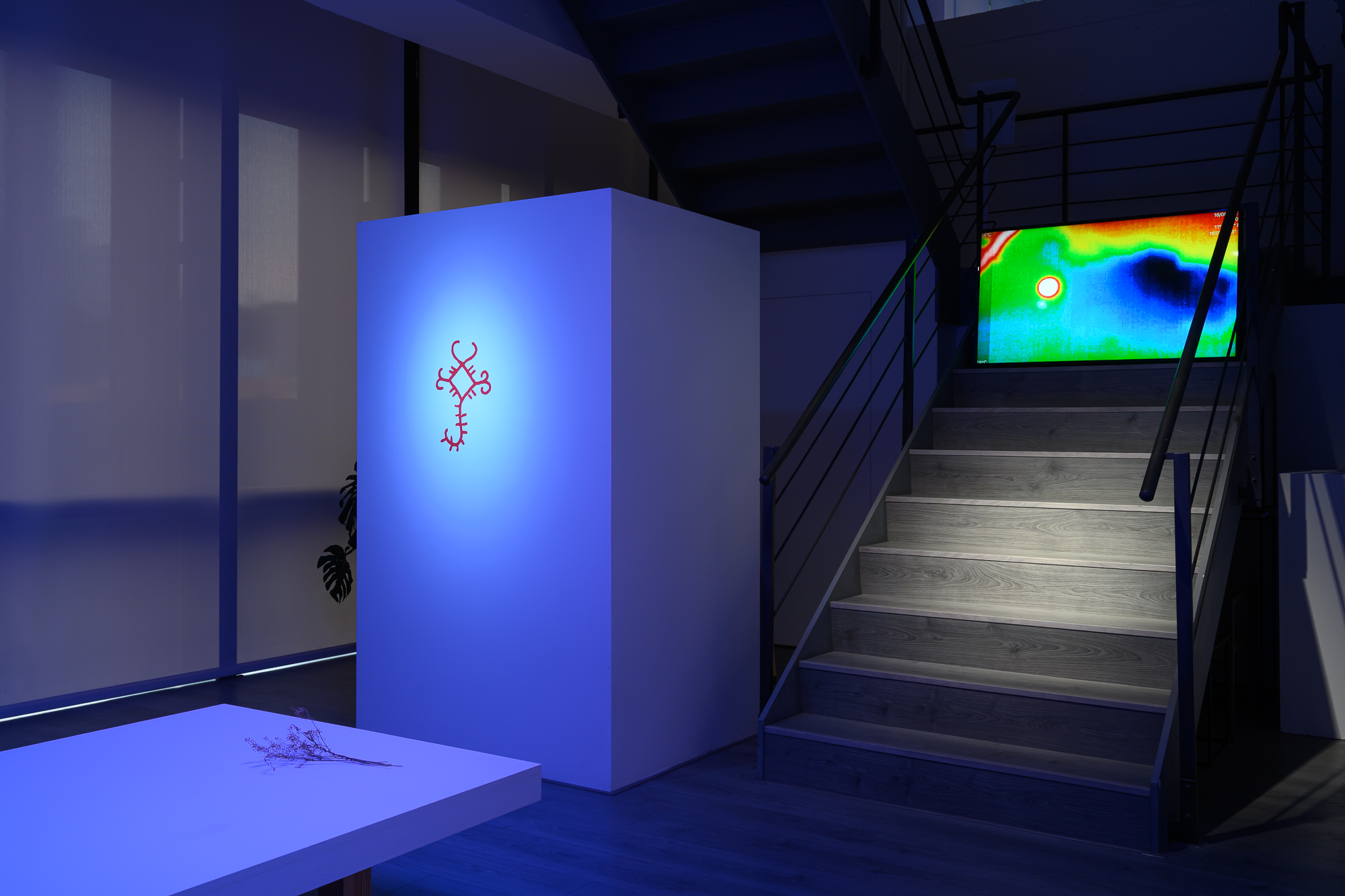 20250411_munus_0026_Small.jpg 的副本