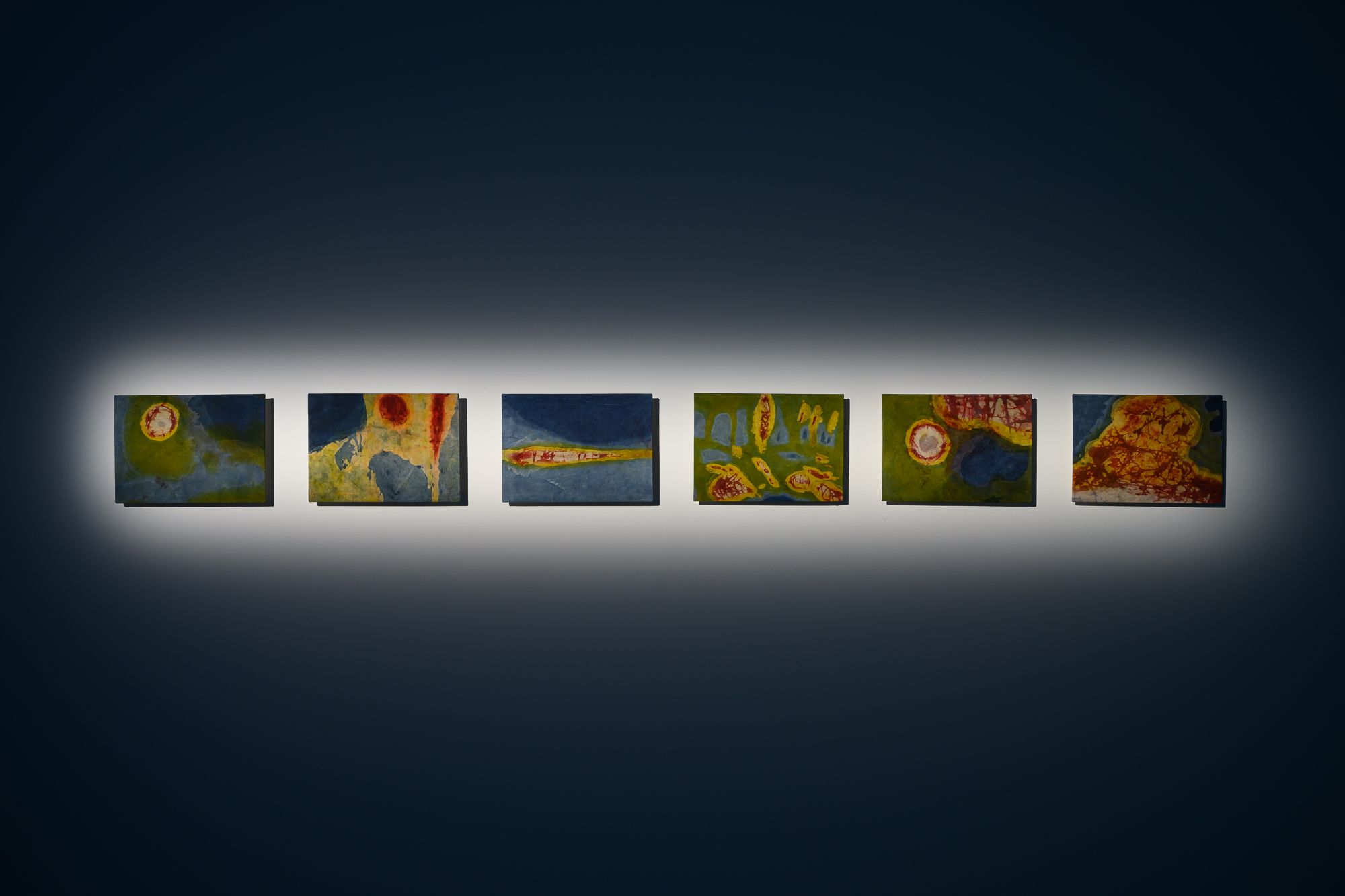 20250411_munus_0042_Small.jpg 的副本