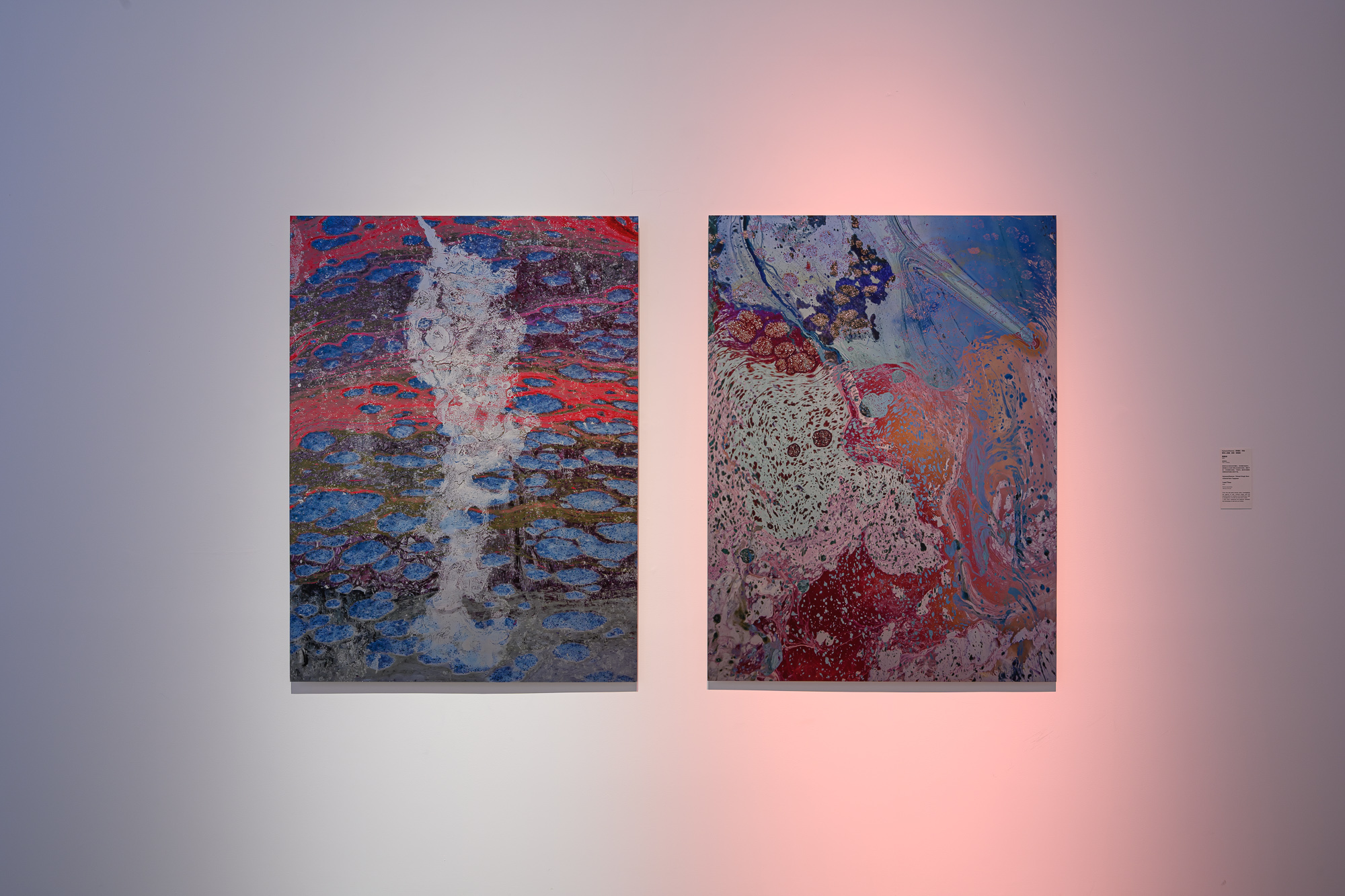 20250411_munus_0131_Small.jpg 的副本